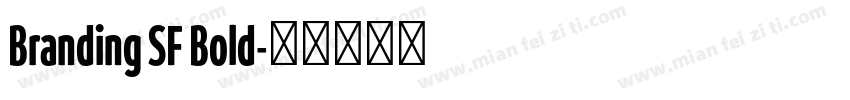 Branding SF Bold字体转换